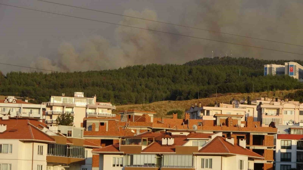 Çanakkale’de orman yangını nedeniyle şehir merkezi adeta dumanla kaplandı