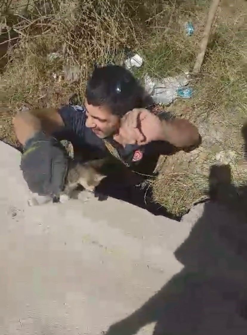 Elazığ’da kuyuya düşen yavru kediyi itfaiye ekipleri kurtardı