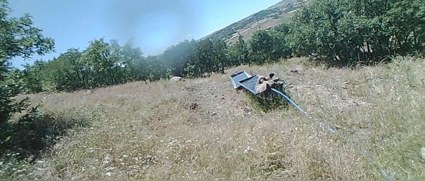 Sıcaktan bunalan boz ayı suvata girerek serinledi