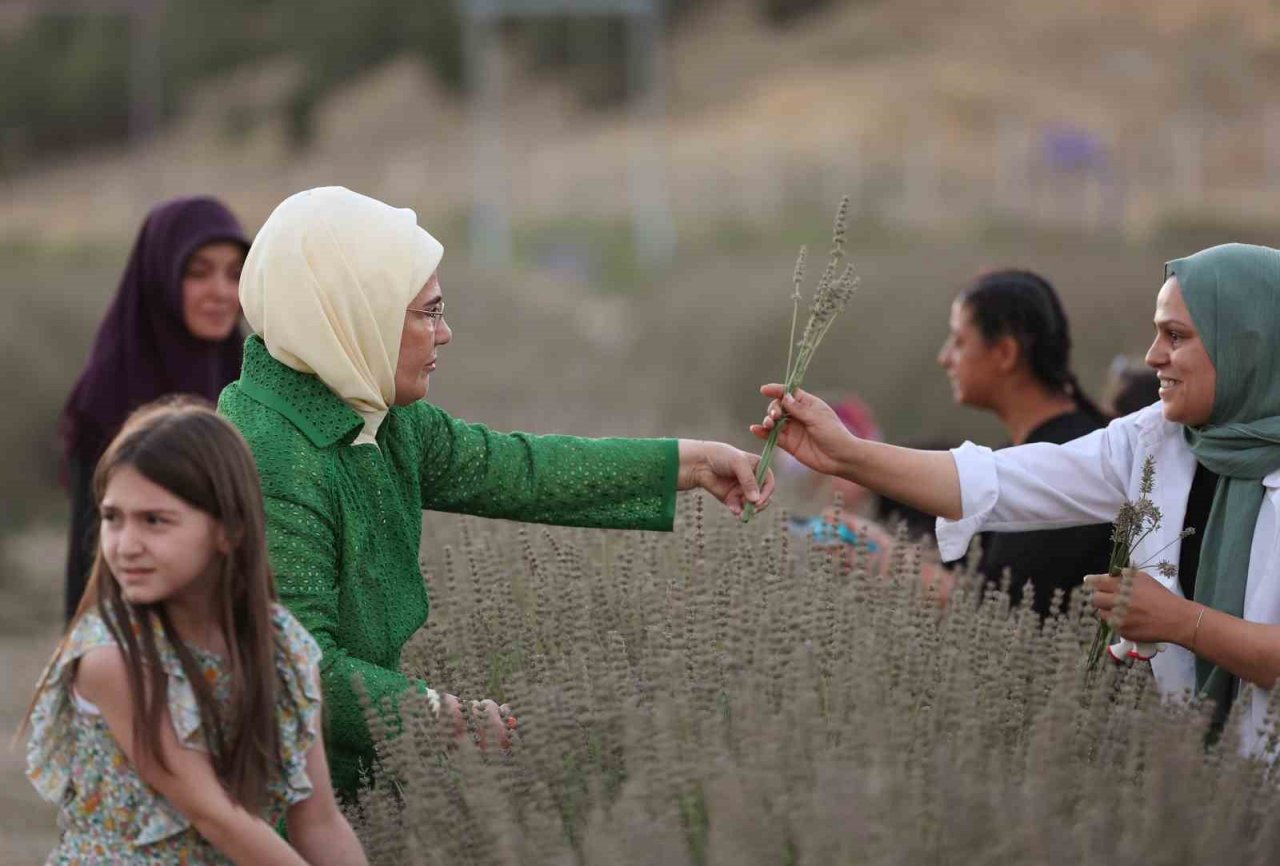 Emine Erdoğan, Ankara’da Ekolojik Köy ziyareti ve lavanta hasadı yaptı