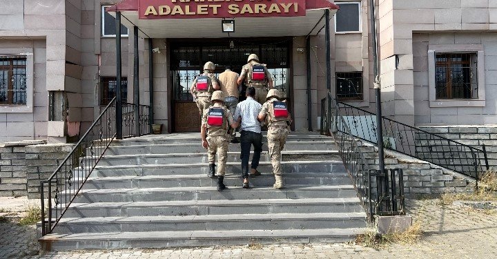 Büyükbaş hayvan hırsızları Jandarmadan kaçamadı