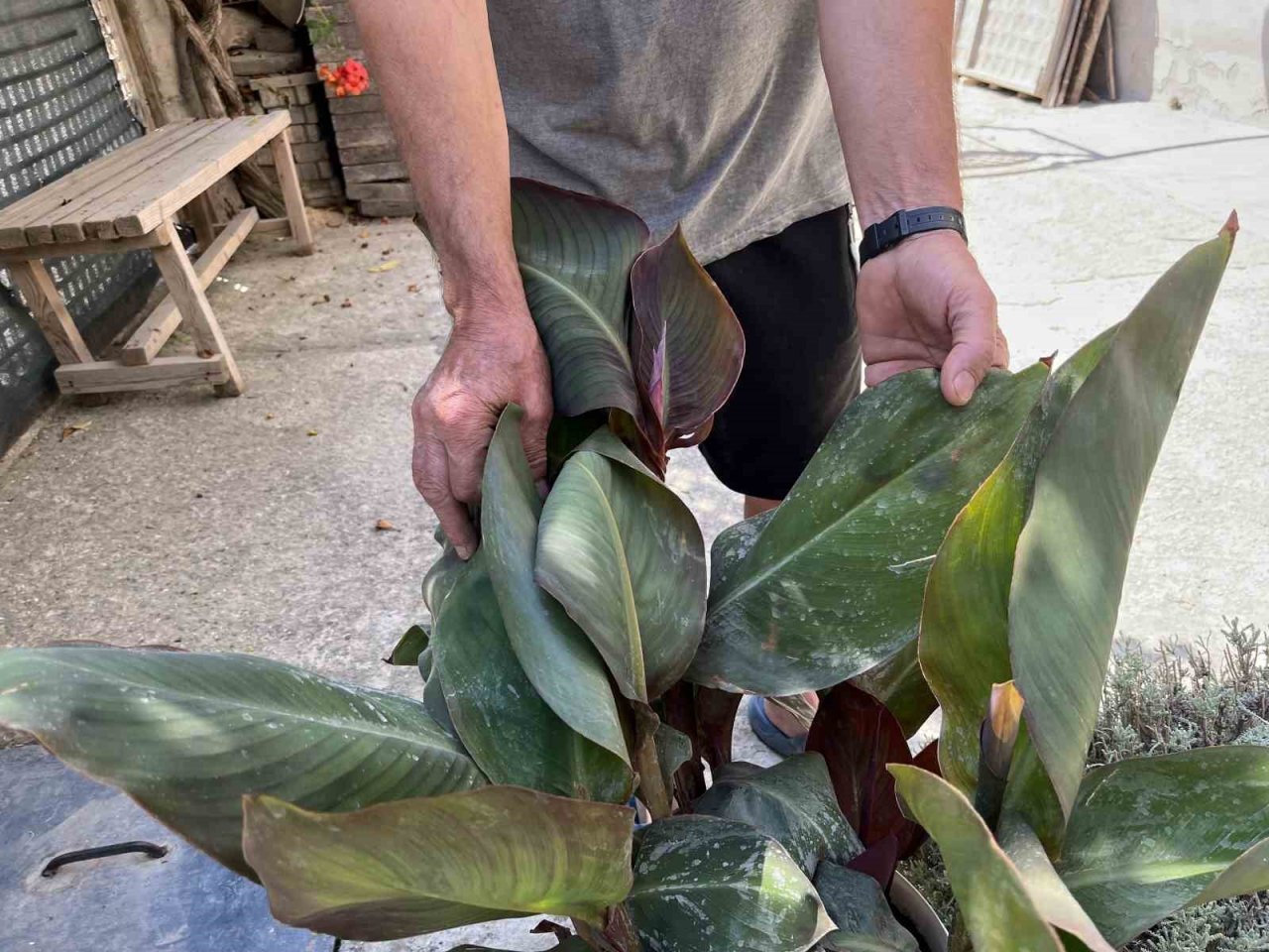 Çukurhisar halkı çimento fabrikasının tozu ve dumanı altında