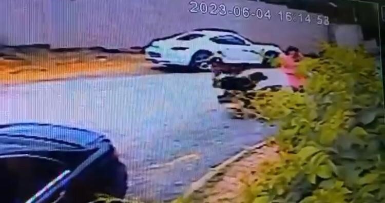 İstanbul’da dehşet anları kamerada: Kadınlar sokak köpeği saldırısına uğradı