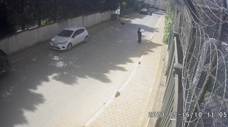 İstanbul’da dehşet anları kamerada: Kadınlar sokak köpeği saldırısına uğradı