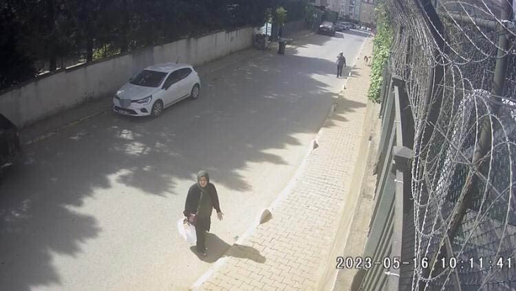 İstanbul’da dehşet anları kamerada: Kadınlar sokak köpeği saldırısına uğradı