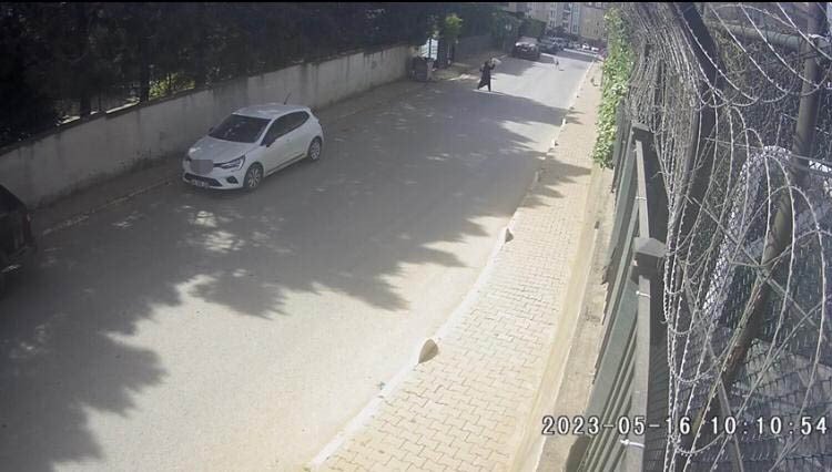 İstanbul’da dehşet anları kamerada: Kadınlar sokak köpeği saldırısına uğradı