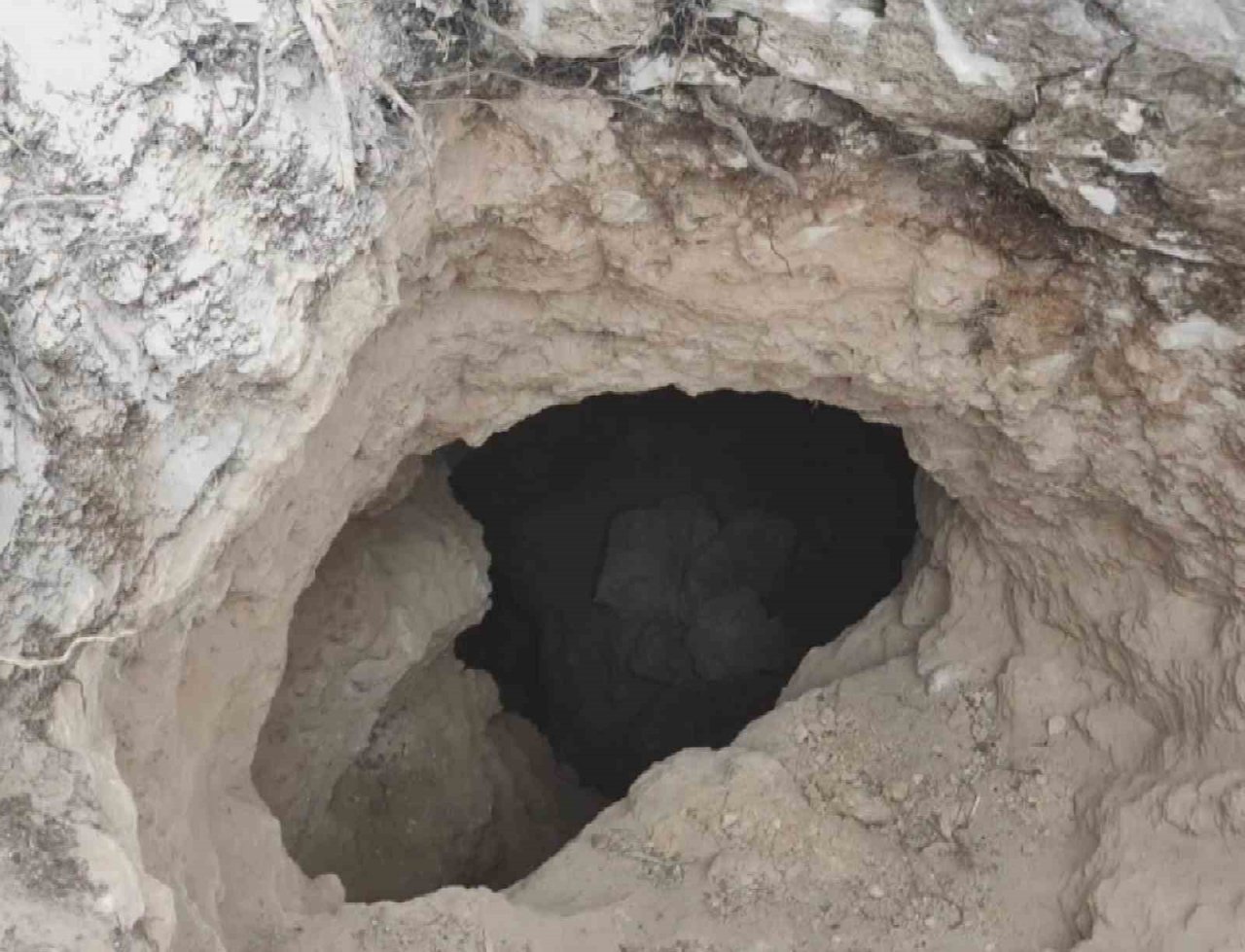 Hazine avcısı 4 şahsa suçüstü