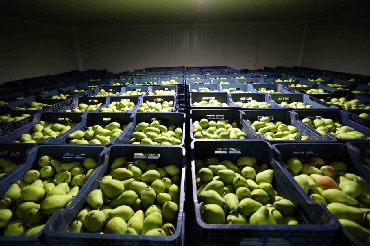 Enerjisini güneşten alan tesis