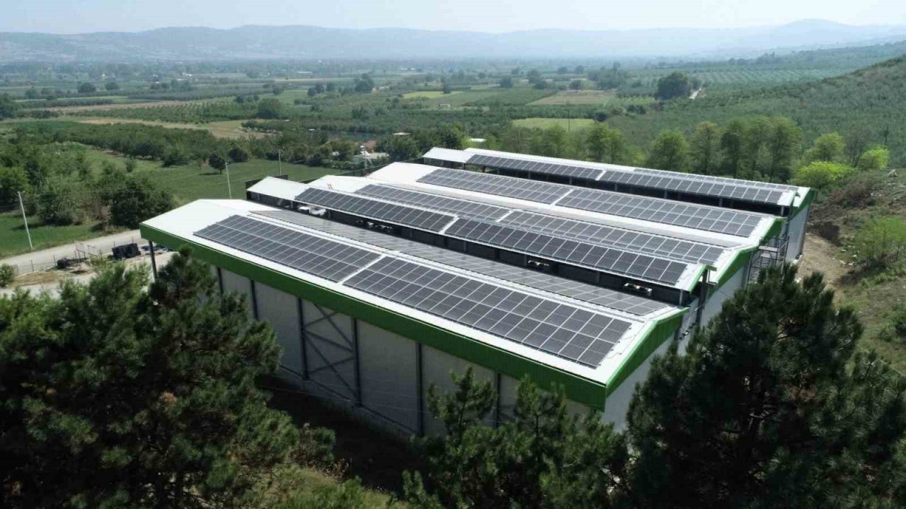 Enerjisini güneşten alan tesis