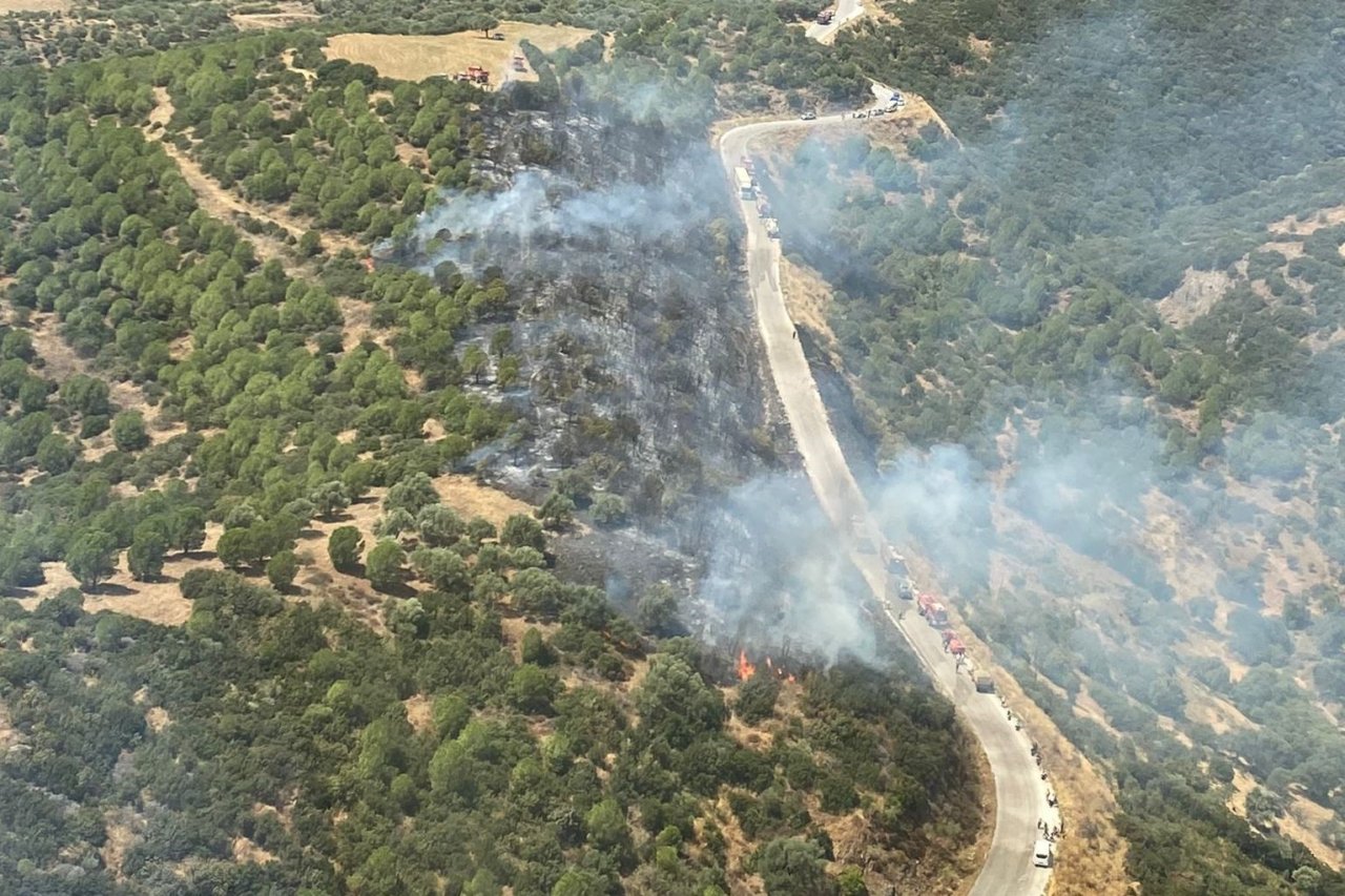 Ödemiş’teki orman yangını kontrol altında