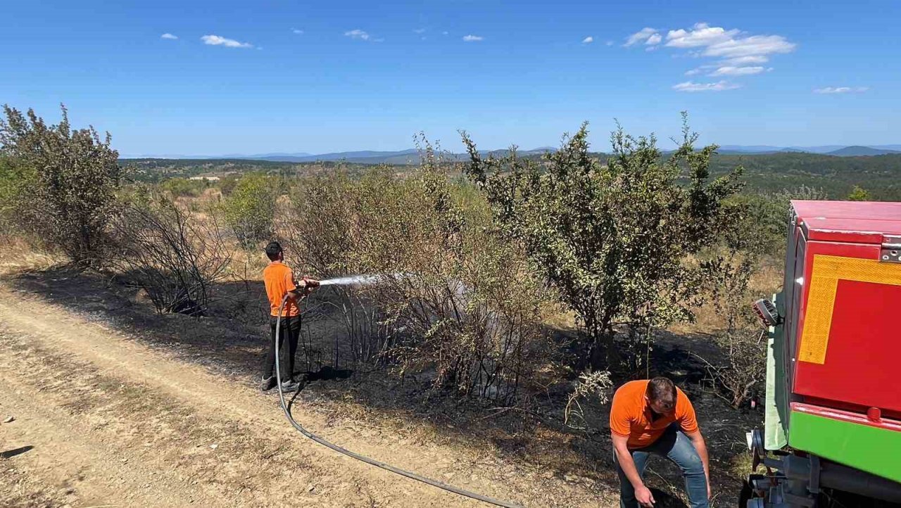 Kastamonu’daki orman yangını büyümeden söndürüldü