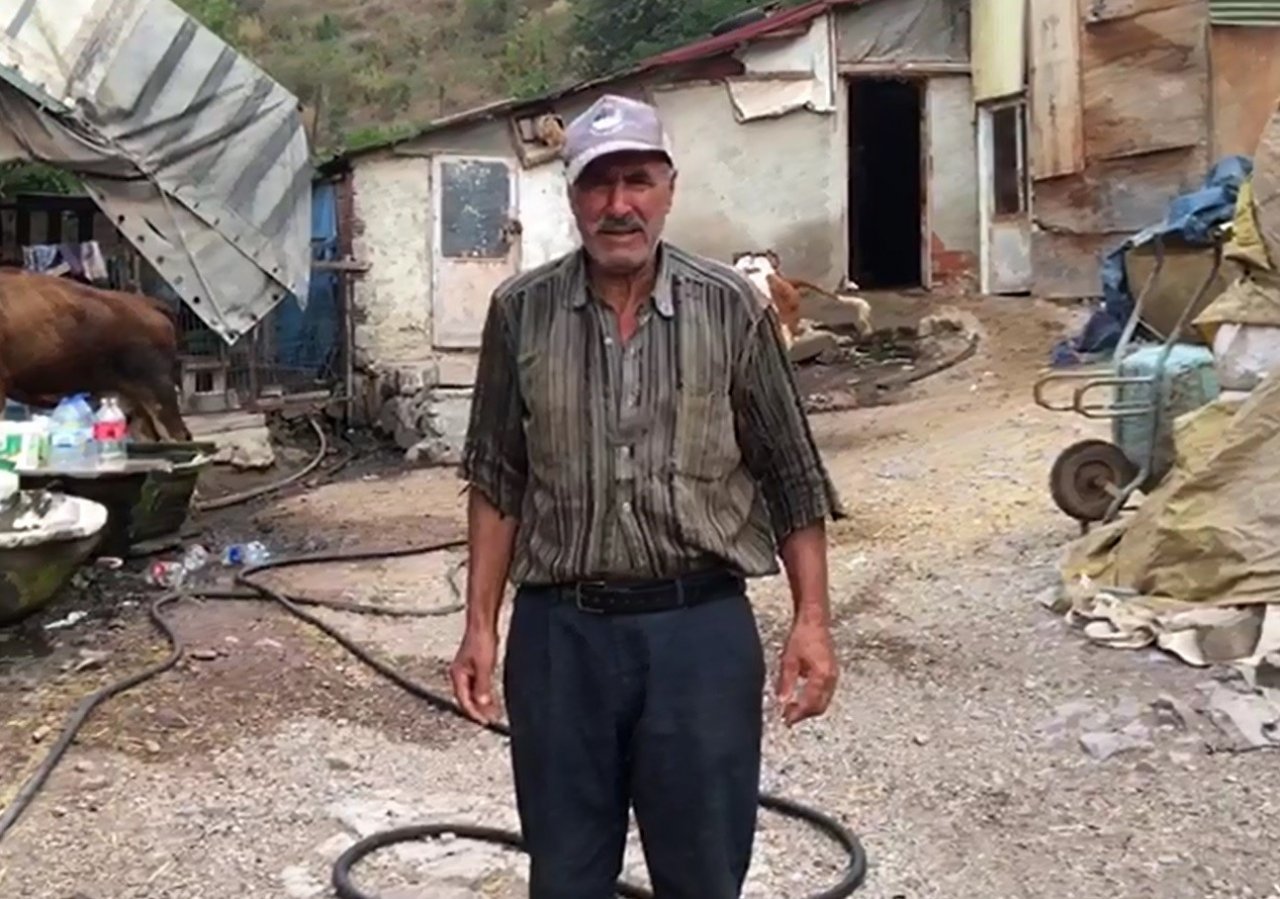 Otlamaya çıkıp, küflenmiş kuru ekmek yiyen inekler çatlayıp telef oldu