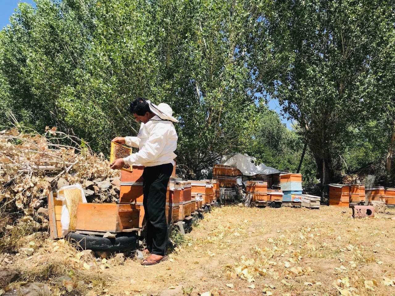 Merakla başladığı arıcılıkta, 70 kovandan binlerce kilo "Gülbal" üretiyor