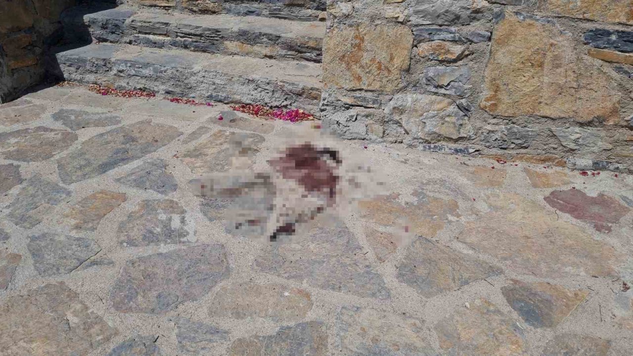 Spor yorumcusu ve işletmeci Levent Bulut öldüresiye dövülüp gasp edildi