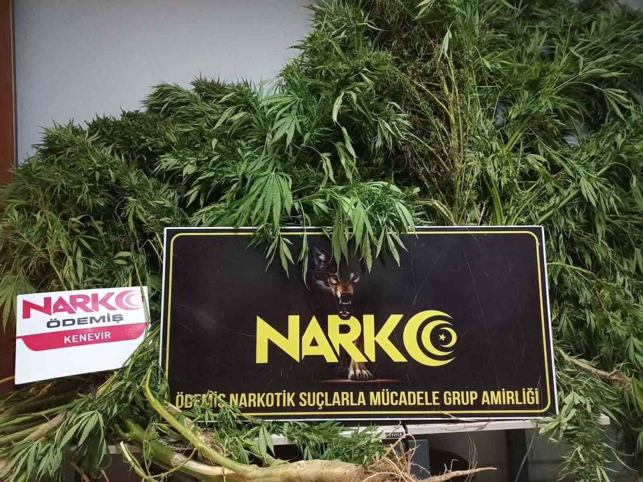 İzmir’de 50 uyuşturucu operasyonunda 25 tutuklama