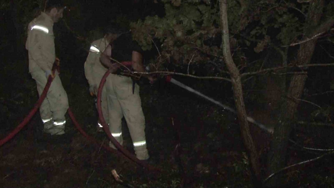 Pendik Göçbeyli köyünde ormanlık alanda yangın