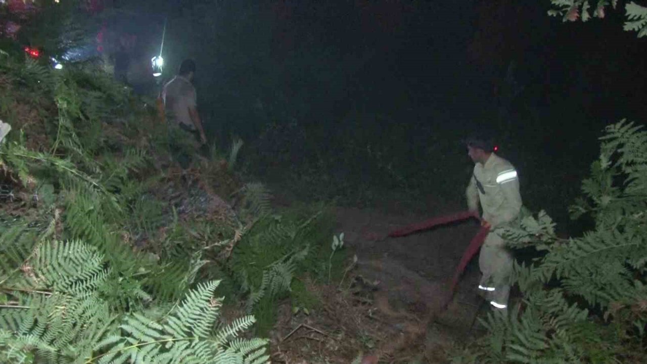 Pendik Göçbeyli köyünde ormanlık alanda yangın