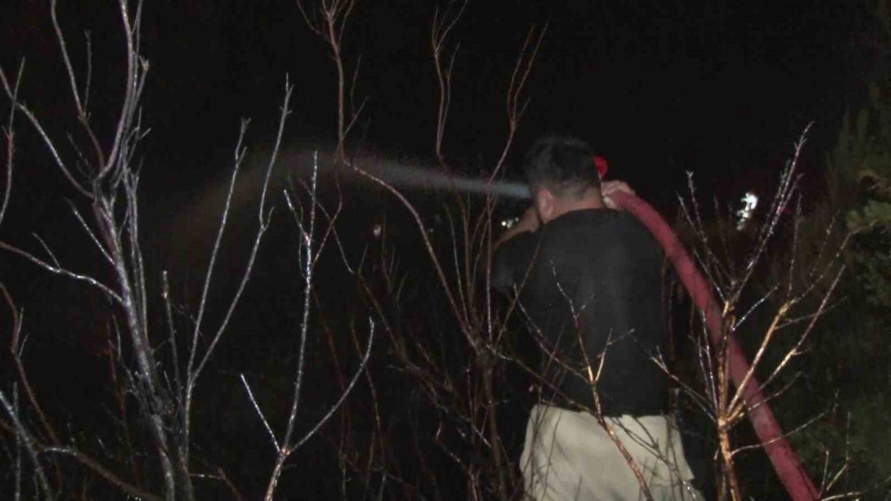 Pendik Göçbeyli köyünde ormanlık alanda yangın