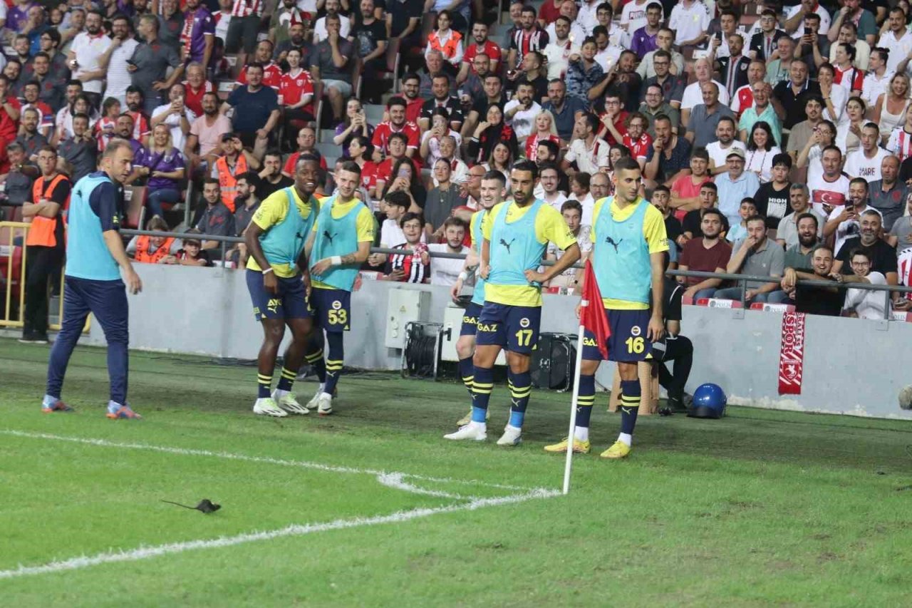 Samsunspor - Fenerbahçe maçında statta farenin yanı sıra ’peygamber devesi’ de görüldü