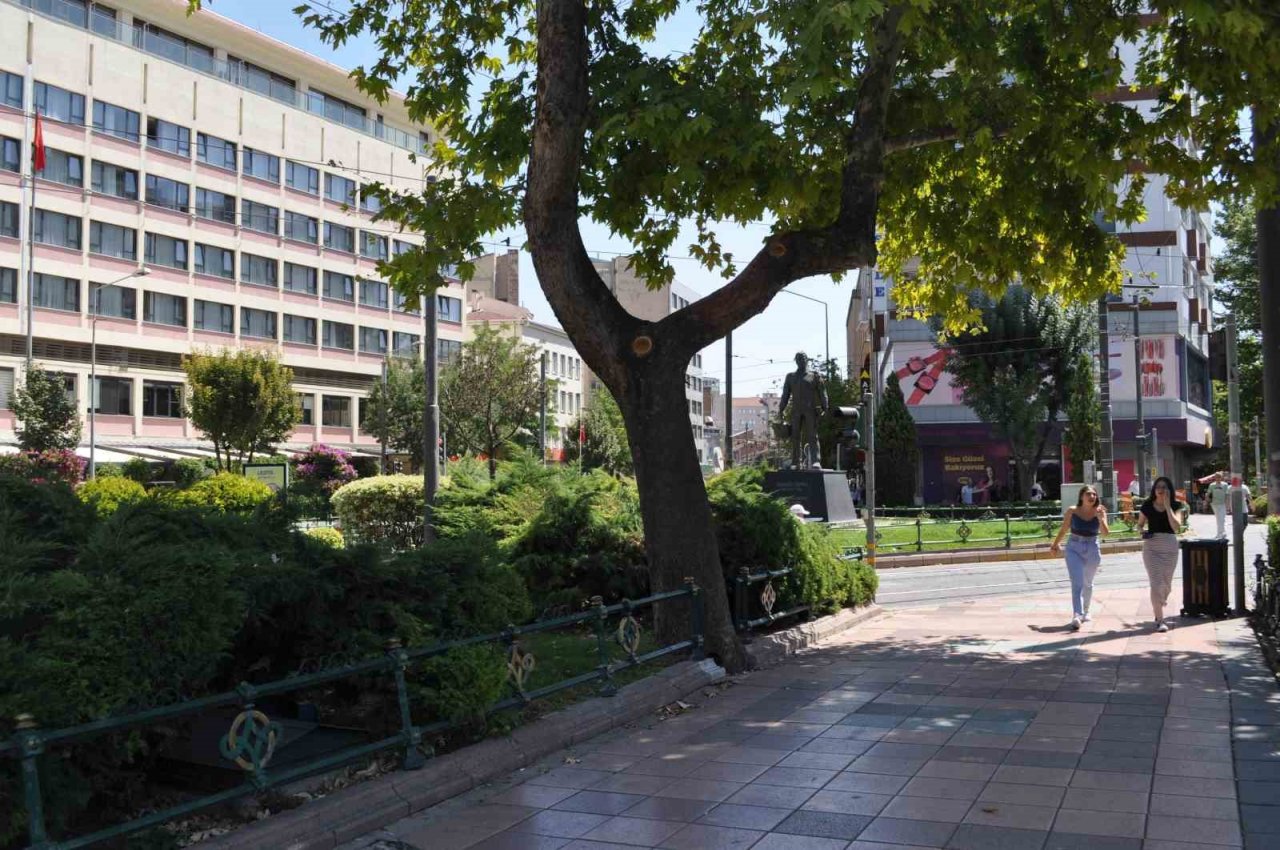 Dalı enerji tellerine devrilen ağaç budandı