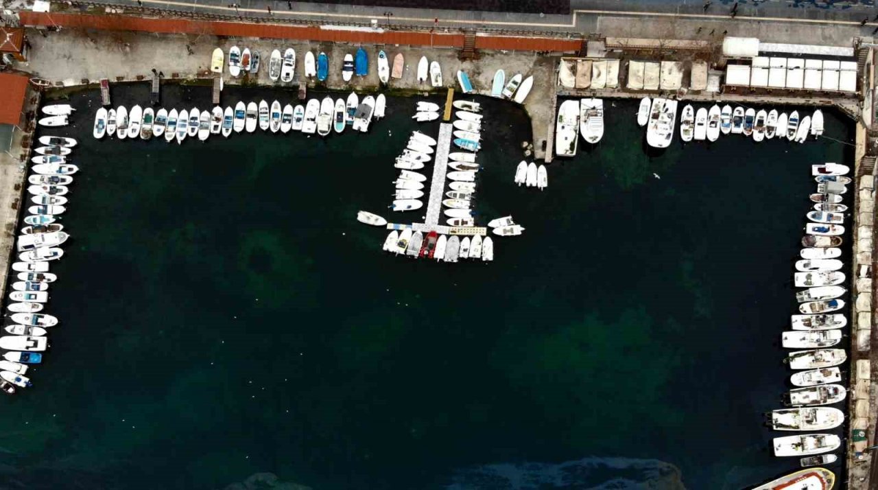 Tayfalarda 1 Eylül heyecanı: Hamsi ve lüfer bolluğu bekleniyor