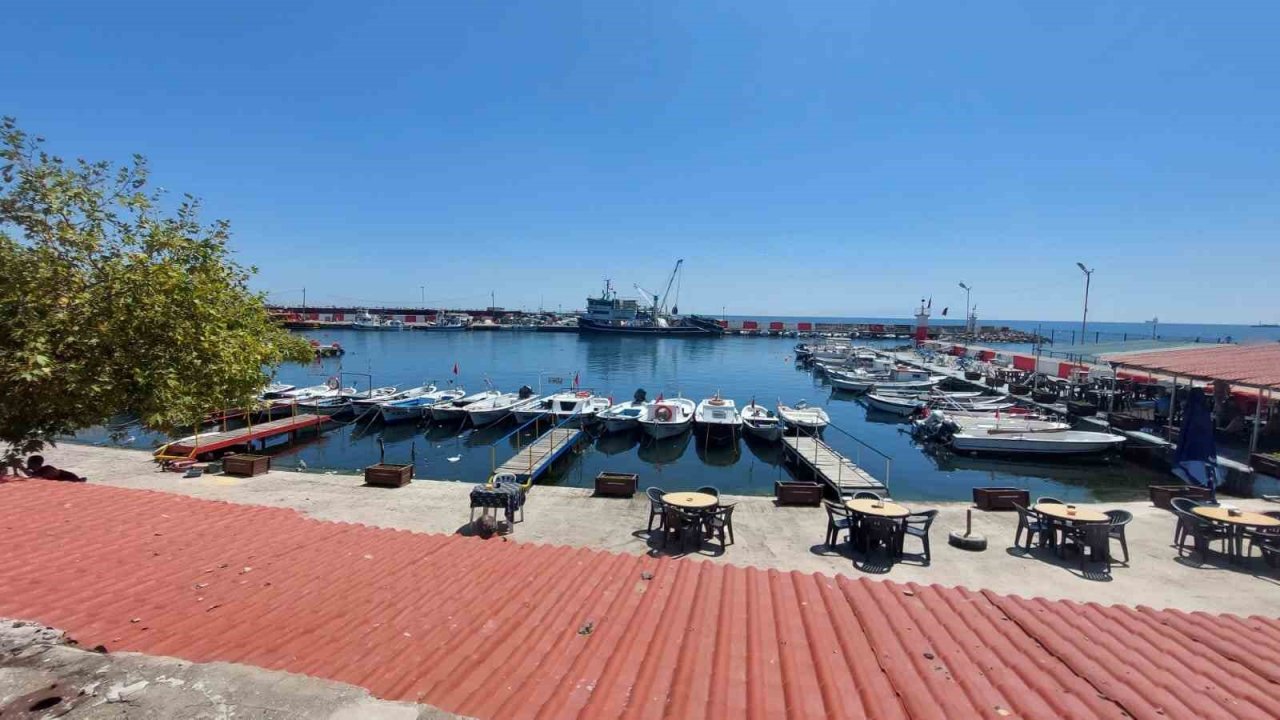 Tayfalarda 1 Eylül heyecanı: Hamsi ve lüfer bolluğu bekleniyor