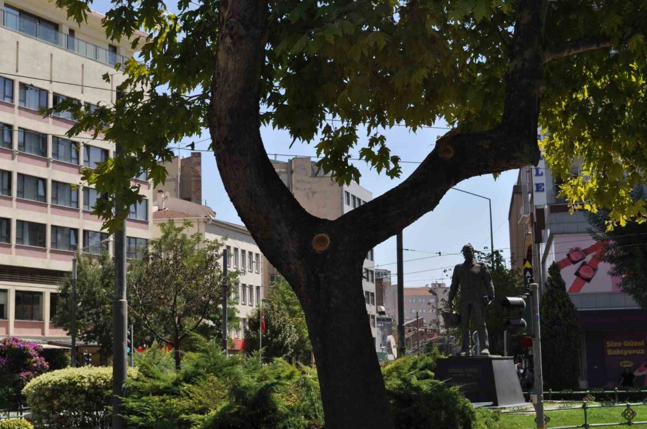 Dalı enerji tellerine devrilen ağaç budandı