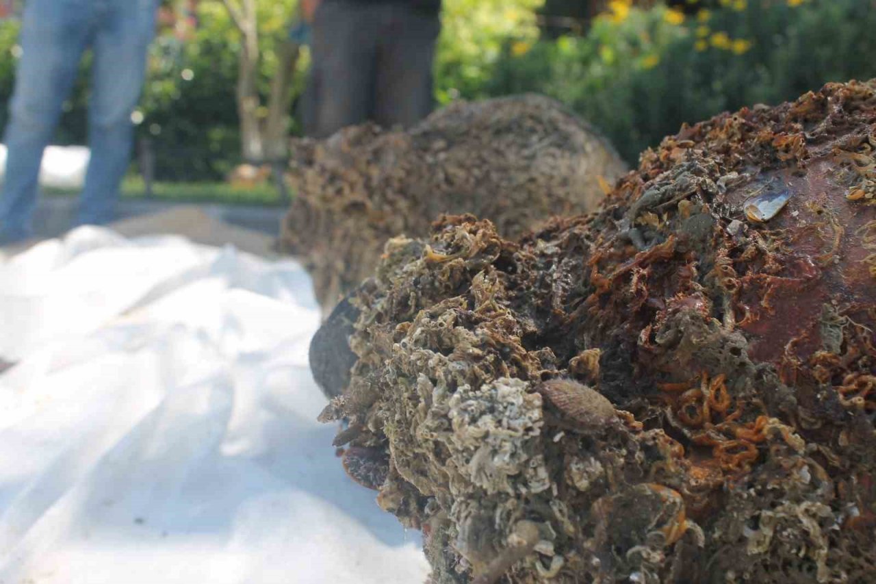 Deniz polisi Yalova açıklarında batık gemi buldu