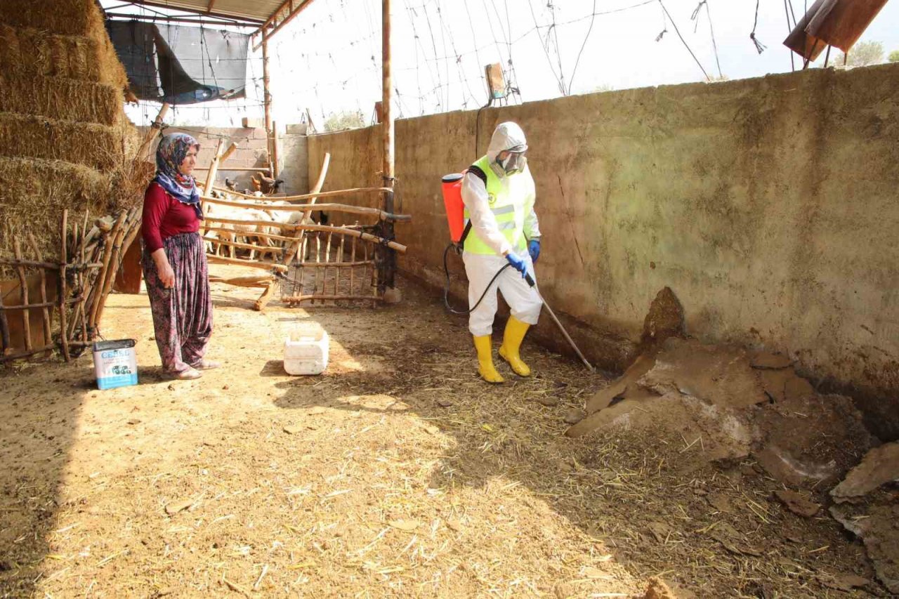 Yüreğir Belediyesi, kırsal mahallelerde vektörle mücadele çalışması başlattı