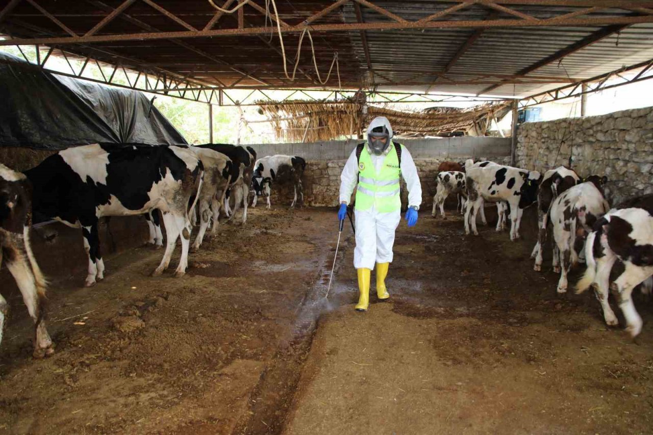Yüreğir Belediyesi, kırsal mahallelerde vektörle mücadele çalışması başlattı
