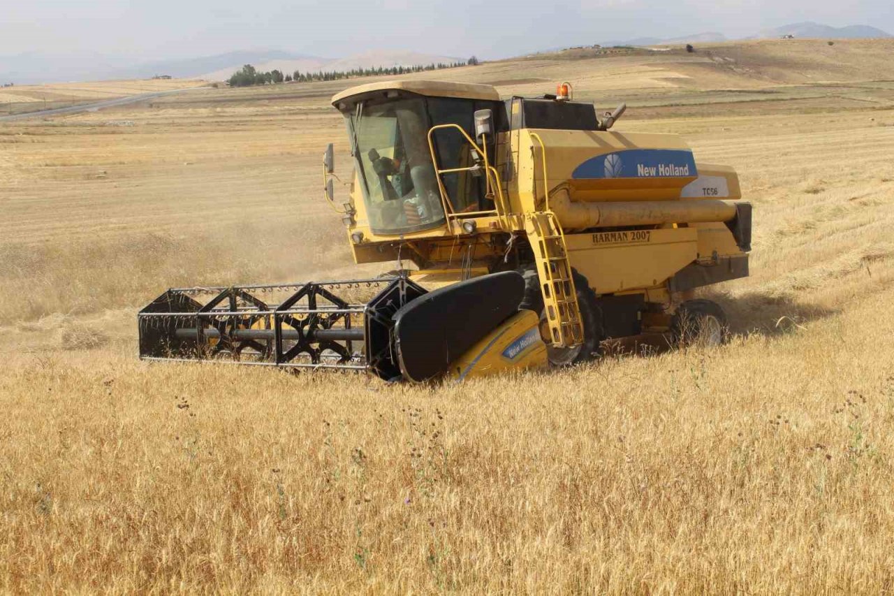 Antalya Büyükşehir Belediyesi kendi arazisinde buğday yetiştirdi