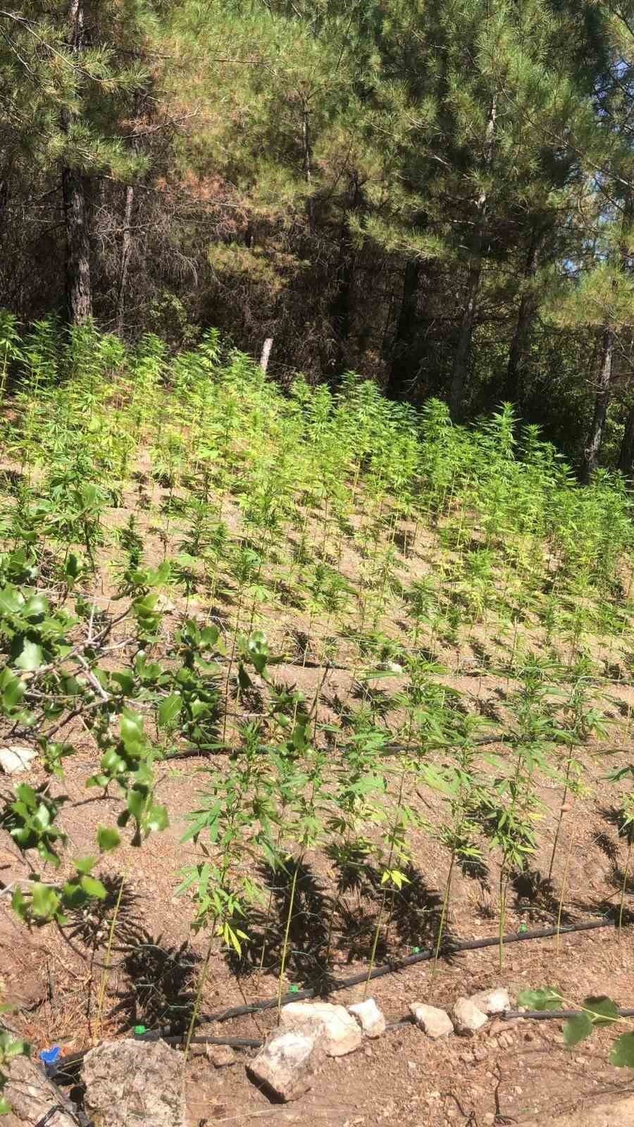 Uyuşturucu taciri çalıntı motosikletle yakalandı