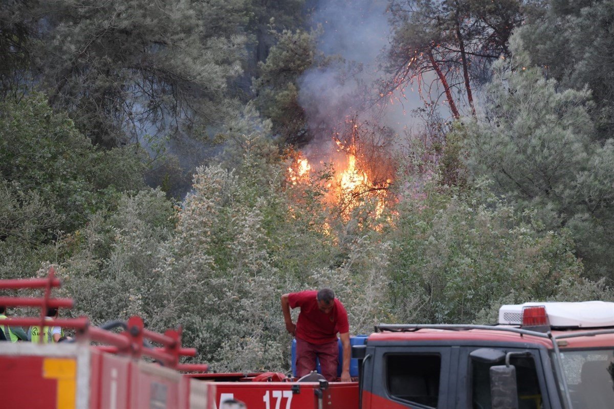 Bilecik’teki orman yangını kontrol altına alındı