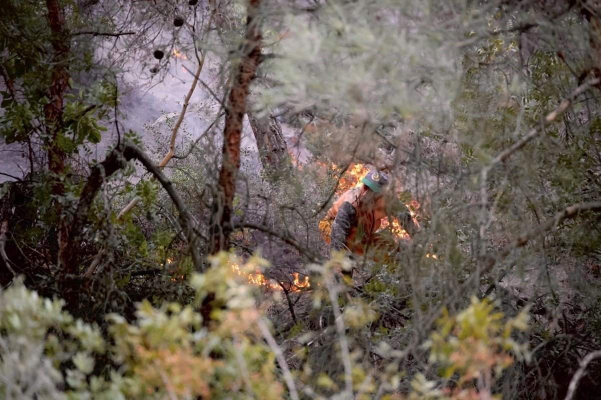 Bilecik’teki orman yangını kontrol altına alındı