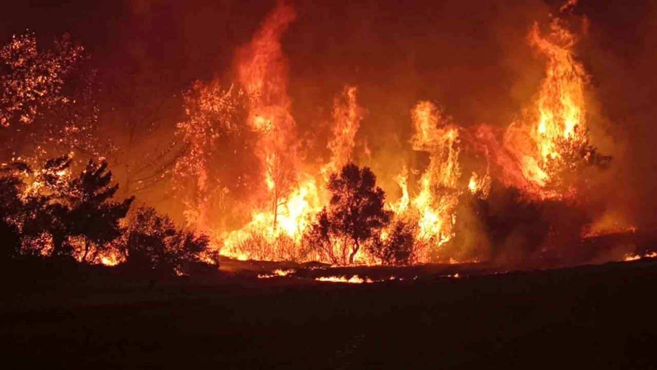 Çanakkale’deki orman yangınını söndürme çalışmaları aralıksız devam ediyor