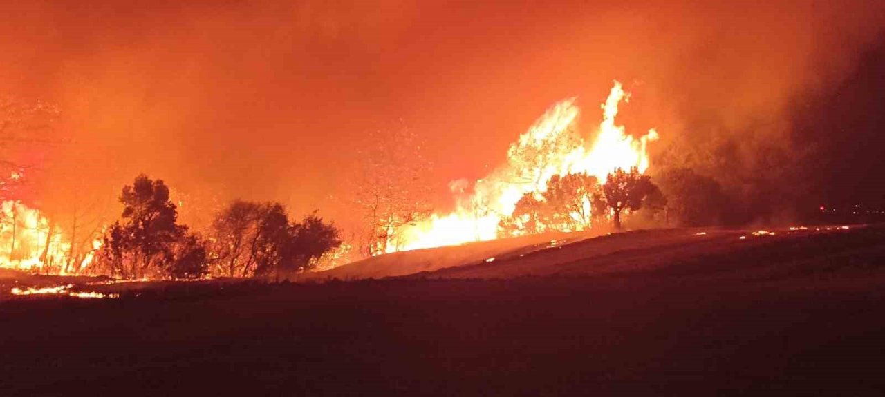 Çanakkale’deki orman yangınını söndürme çalışmaları aralıksız devam ediyor