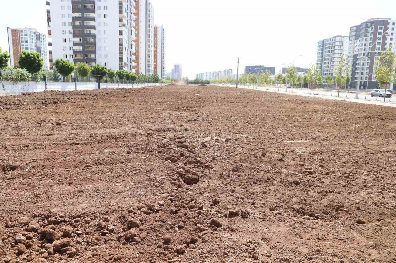Diyarbakır’da yeşil kuşak hattı oluşturuluyor