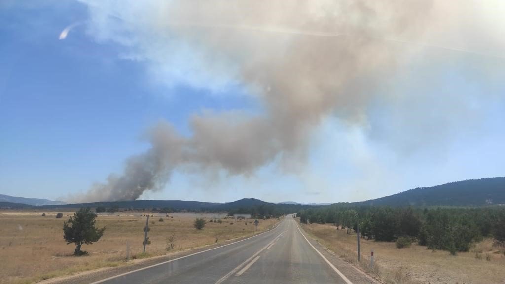 Ormana sıçrayan anız yangını yerleşim yerlerine doğru ilerliyor