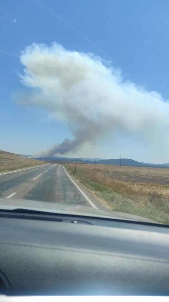 Ormana sıçrayan anız yangını yerleşim yerlerine doğru ilerliyor