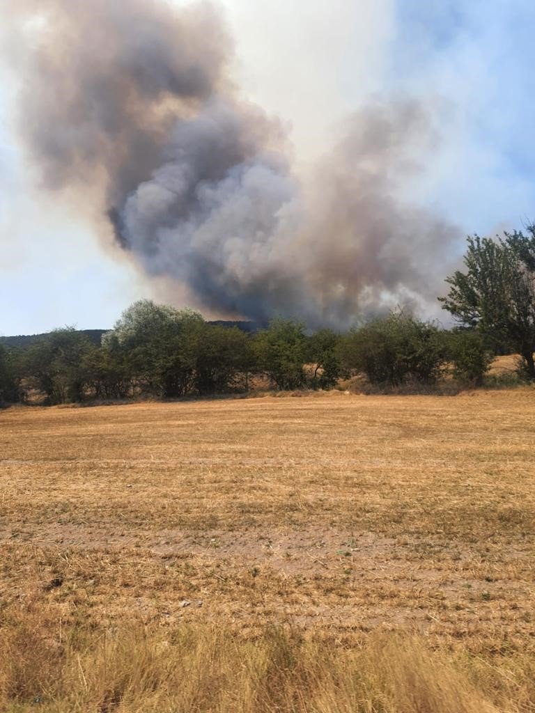 Ormana sıçrayan anız yangını yerleşim yerlerine doğru ilerliyor