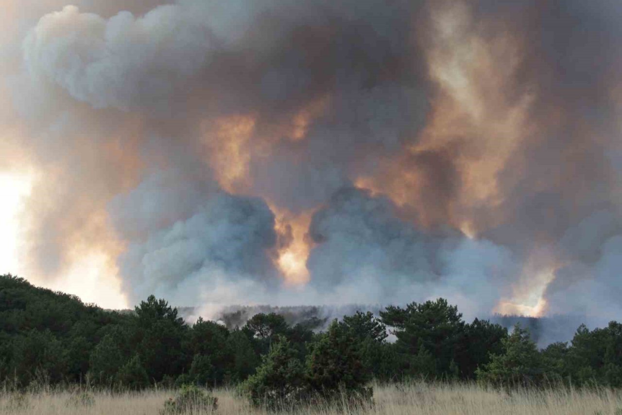 Eskişehir’de çıkan orman yangınına havadan müdahale devam ediyor