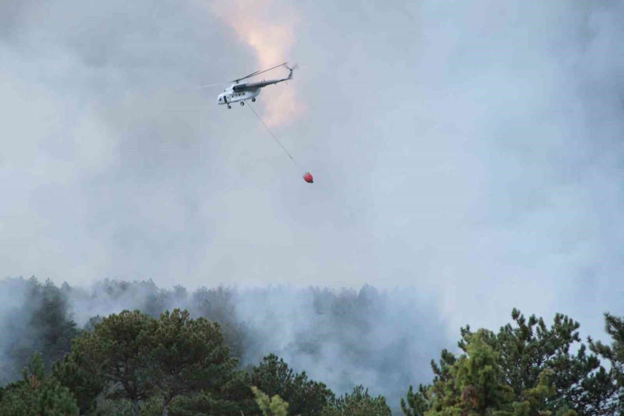 Eskişehir’de çıkan orman yangınına havadan müdahale devam ediyor