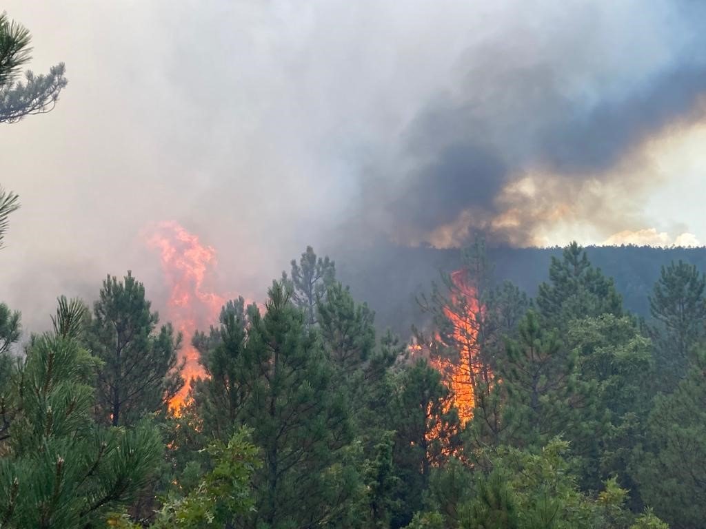 Seyitgazi yangınına havadan müdahale başladı