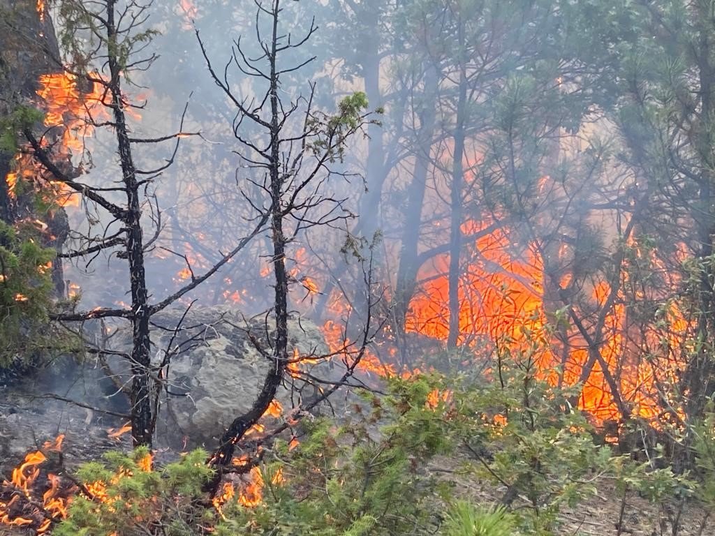 Seyitgazi’deki orman yangınına müdahale sürüyor