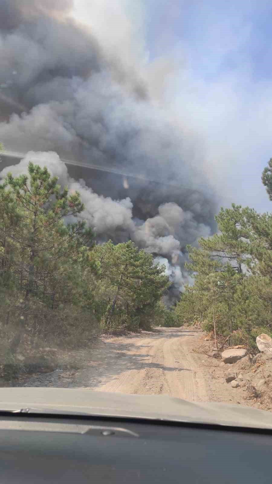 Seyitgazi’deki orman yangınına müdahale sürüyor