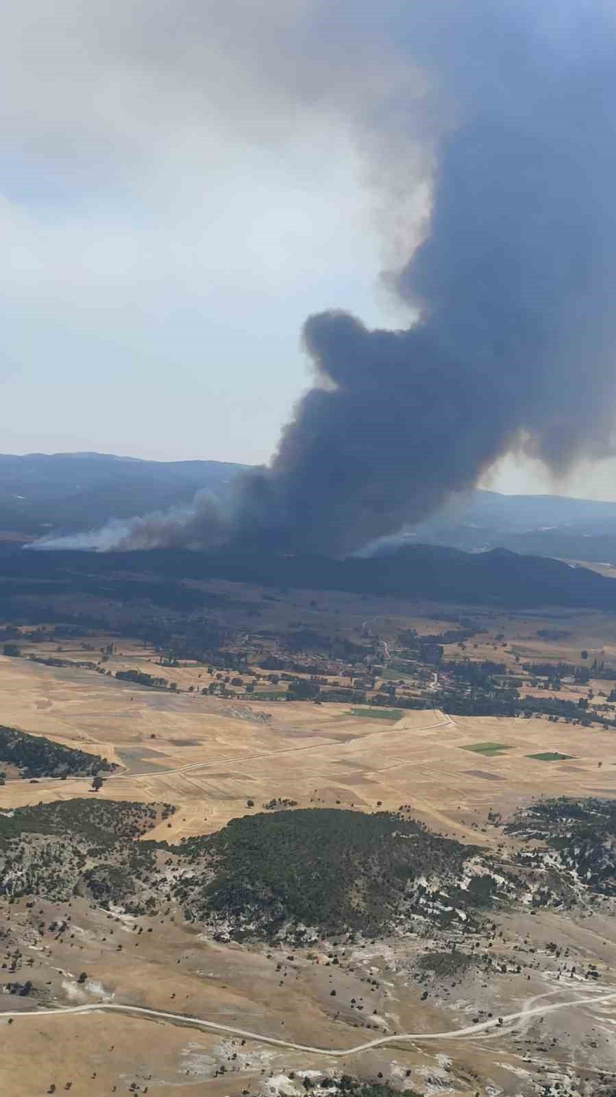 Seyitgazi’deki orman yangınına müdahale sürüyor