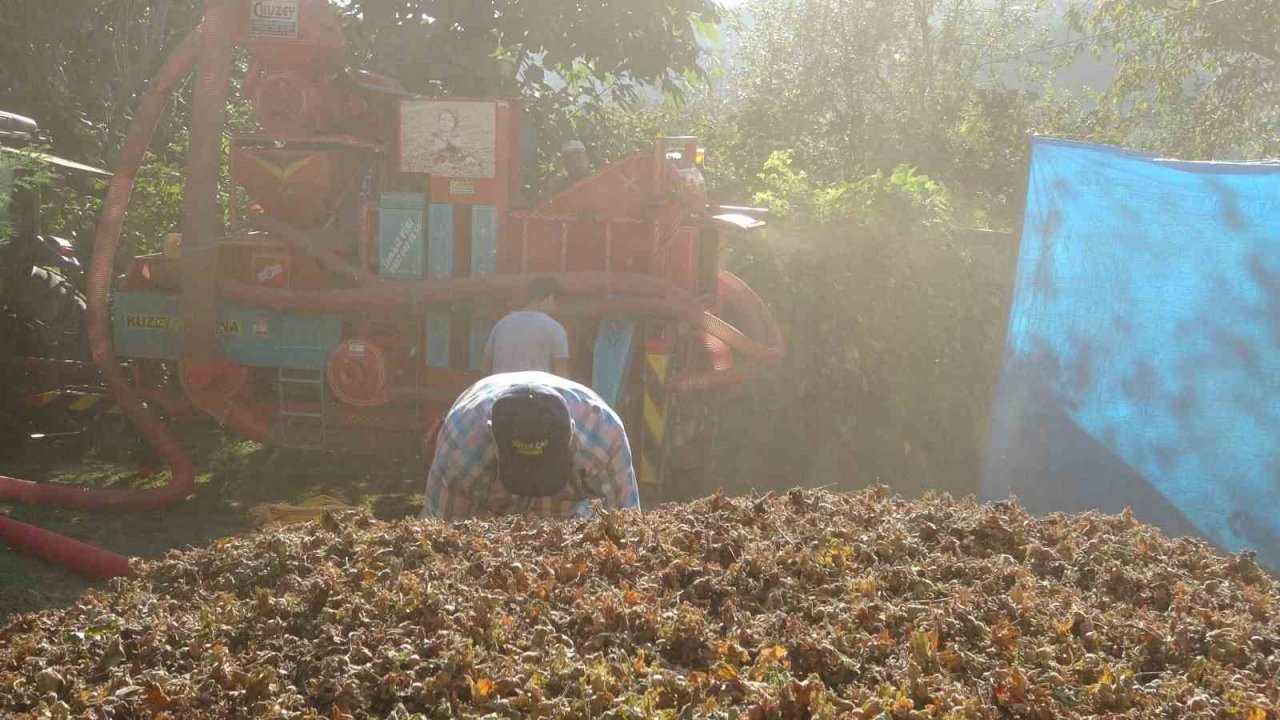 Yılda sadece 1,5 ay çalışıyorlar: Saatlik ücretleri 2 bin TL