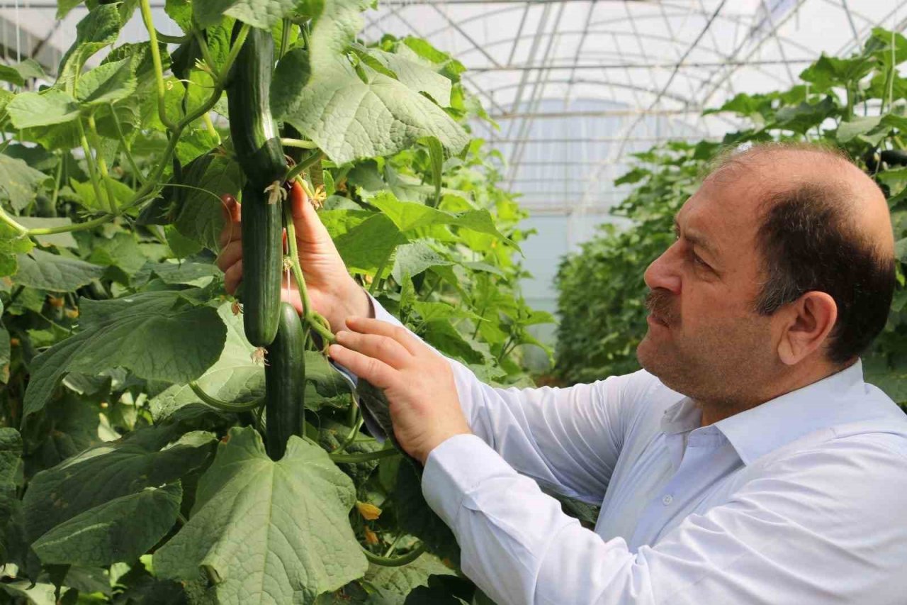 Genç girişimciler Erzincan’da tarıma yatırım yapıyor