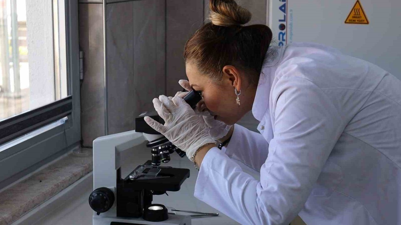 Safranbolu’daki su arıtma tesisinde 24 bin metreküp su arıtılıyor