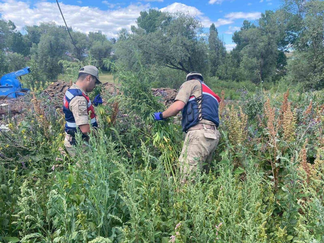 Kars’ta jandarmadan zehir tacirlerine darbe